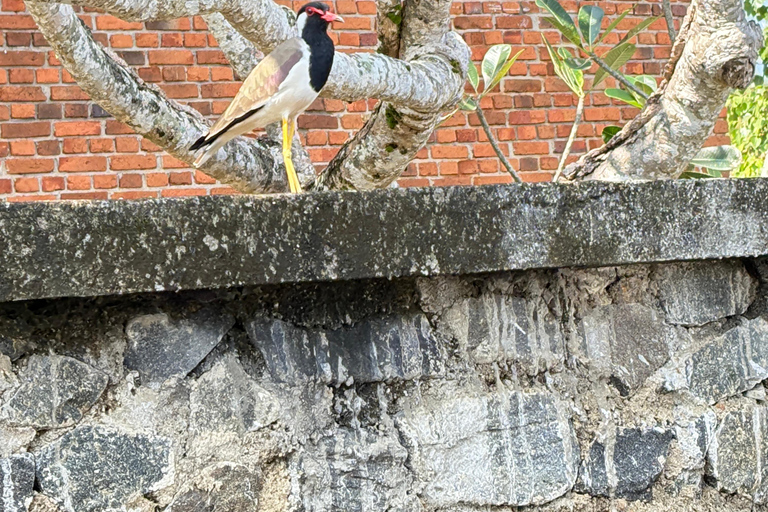 Bentota: River Boat Safari and Tuk-Tuk Ride with Pickup-Drop