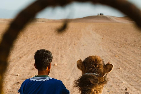 Marrakech: Agafay Desert Quad Bike, Camel Ride, Pool & Lunch Desert Agafay : Quad Biking, Camel Ride, Lunch & Pool