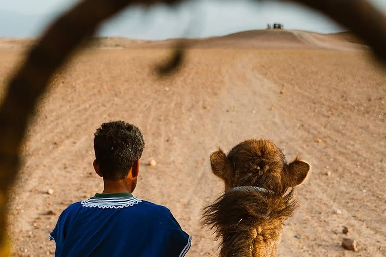 Marrakech: Agafay Desert Quad Bike, Camel Ride, Pool & Lunch Desert Agafay : Quad Biking, Camel Ride, Lunch & Pool