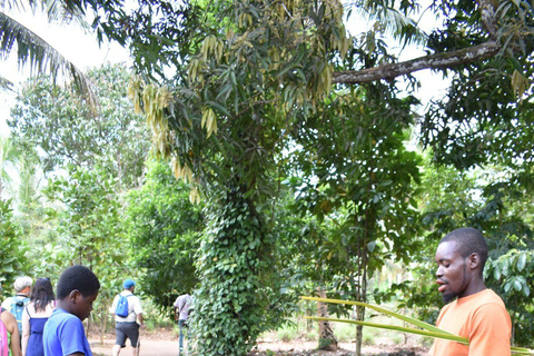 Zanzibar: Spice Forest Tour with Tasting Session