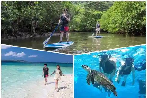 Iriomote Mangrove SUP et plongée en apnée à Coral Island