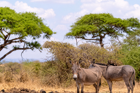 From Nairobi: 3 Days cChyulu Hills Private Tour From Nairobi: 3 days chyulu hills private tour