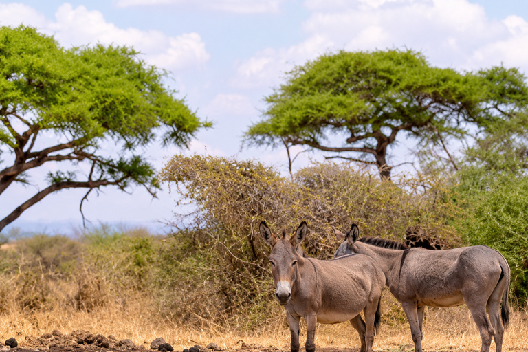 From Nairobi: 3 Days cChyulu Hills Private Tour From Nairobi: 3 days chyulu hills private tour