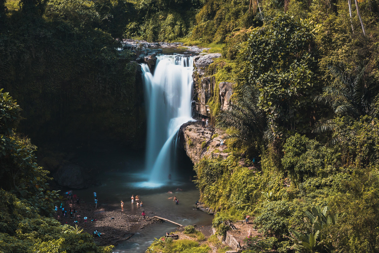 Ubud: Waterfalls, Water Temple & Monkey Forest Shared Tour Shared-Group Tour with Hotel Transfer