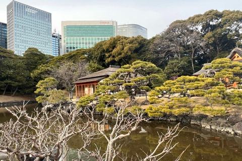 Hama Rikyu Gardens and Surroundings Guided Waking Tour