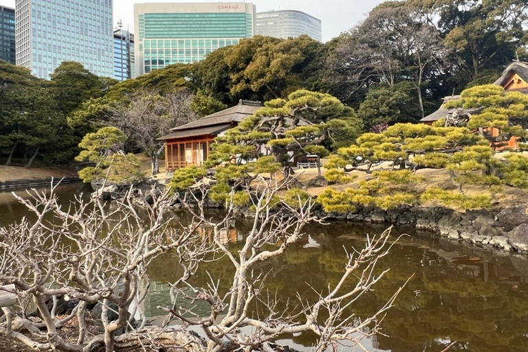 Hama Rikyu Gardens and Surroundings Guided Waking Tour