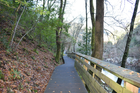 From Porto: Guided tour of the 516 Arouca Suspension Bridge and Paiva Walkways From Porto: Guided Tour of the 516 Arouca Suspension Bridge and Paiva Walkways