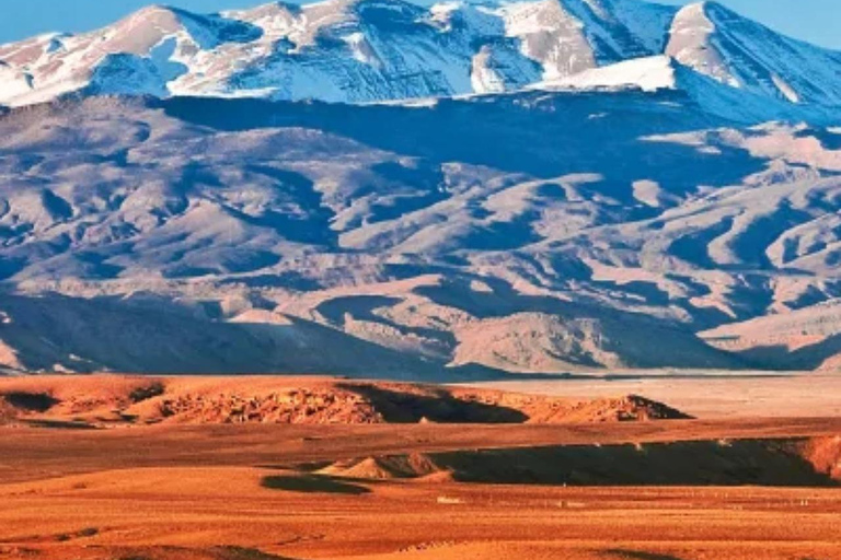 Da Marrakech: Cena al tramonto nel deserto di Agafay