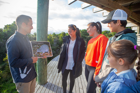 Från Wellington: Kapiti Island Klassisk guidad tur