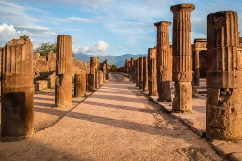 Pompeii: 2-Hour Group Walking Tour with Skip-the-Line Option 2-Hour Walking Tour (Without Entrance Tickets)