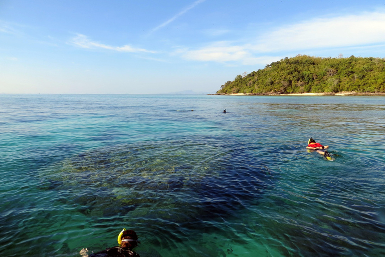 Krabi: Phi Phi e Maya Bay definitivas de lancha rápida