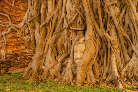 Bangkok: Ayutthaya Temples Day Trip with Sunset Cruise