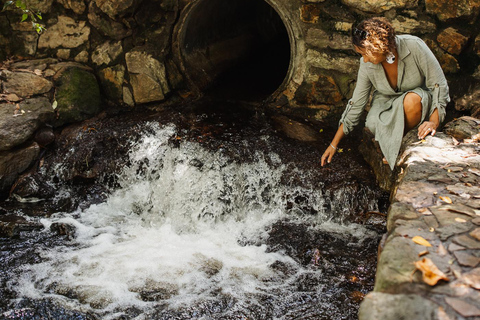 Brisbane: North Stradbroke Island First Nations Day Tour