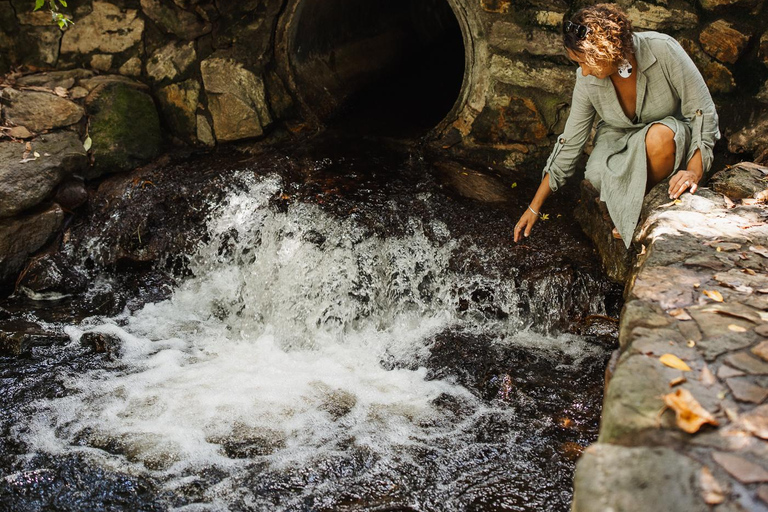 Brisbane: North Stradbroke Island First Nations Day Tour
