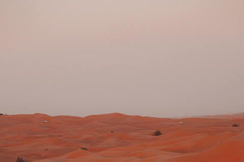 Tour de la ciudad de Doha con Safari por el Desierto y Visita al Mar InteriorTemporada de verano