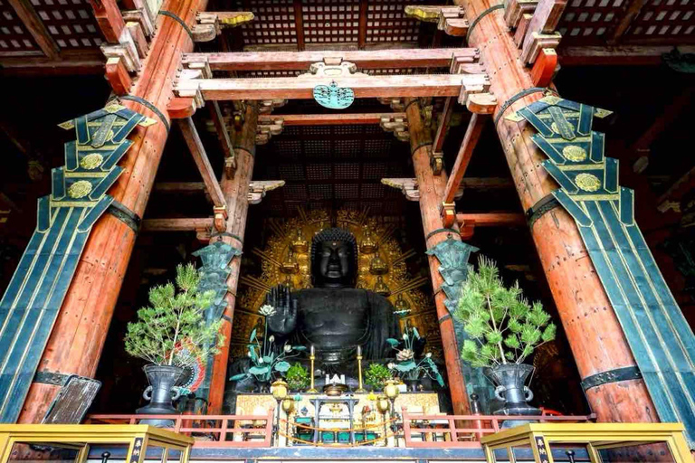 Kyoto: Private Full-Day Tour with Driver & Custom Itinerary