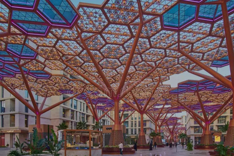 Doha: Full day City, Sea and Sand Dune Experience in 6-Hours Sharing Tour