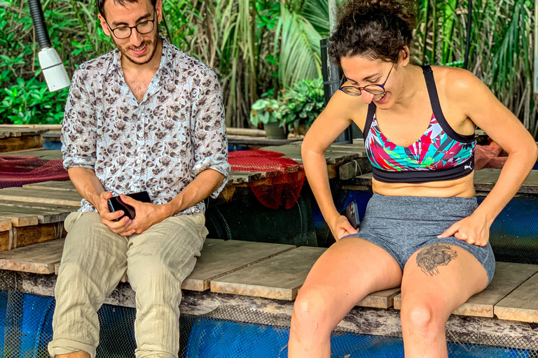 Madu River Boat Safari & Traditional Mask Workshop Visit Pick-up From: Hikkaduwa
