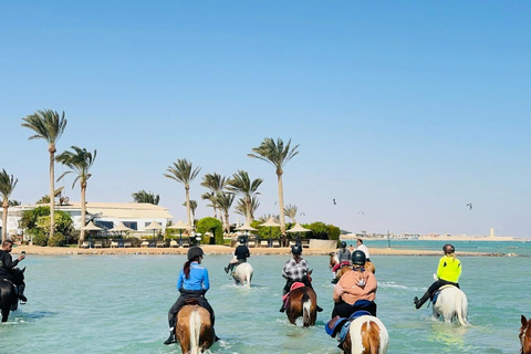 الغردقة: جولة ركوب الخيل في الصحراء والبحر مع خيار السباحةجولة لمدة ساعتين لركوب الخيل بدون السباح