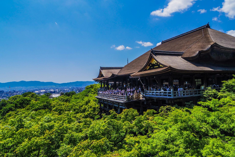 From Nagoya: Kyoto Day Tour with Kobe Beef Shabu-Shabu Lunch