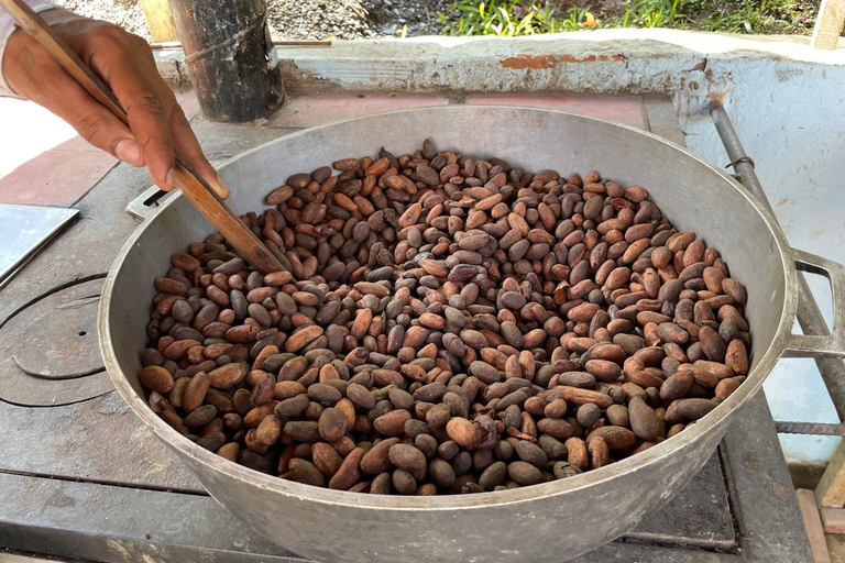 MEDELLÍN: SCHOKOLADENTOUR &amp; PEELING IM SCHÖNEN FLUSS!Medellín: Private Führung durch die Kakao-Farm