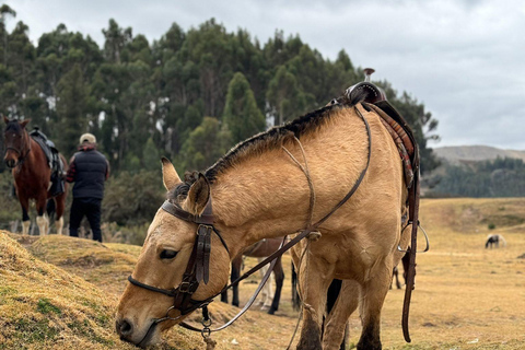 Cusco: Horseback Riding Tour to Inca Temples and Viewpoints