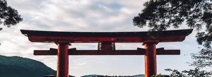 Shizuoka : visite privative d'Hakone avec guide anglophone