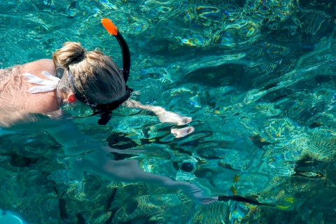 Isla Catalina: Excursión de snorkel de día completo