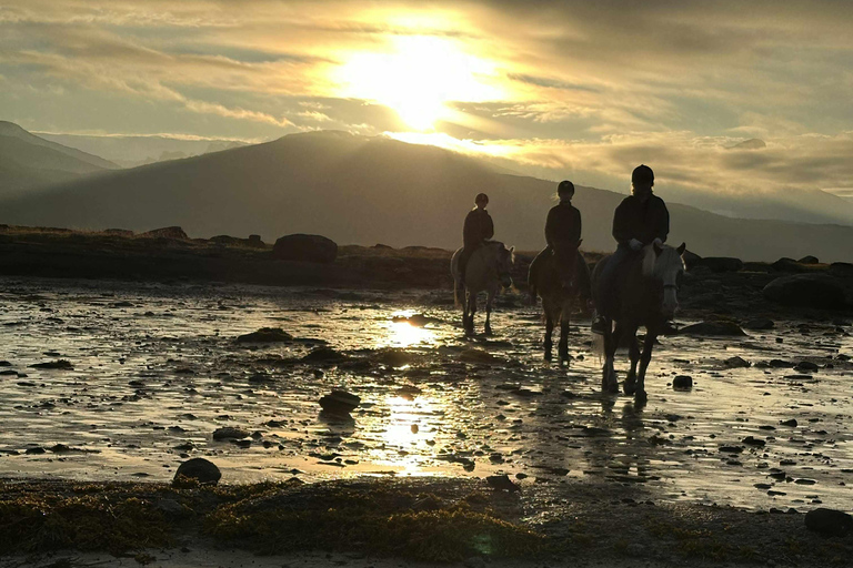Tromsø: Arctic Midnight Sun Horseback Ride