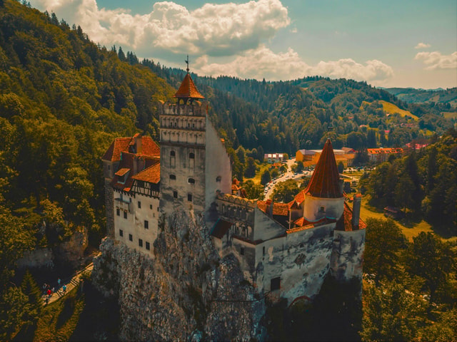 From Bucharest: Dracula's Castle, Bear Sanctuary & Brasov