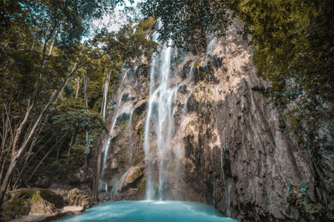 Cebu: Walhaie, Tumalog Wasserfälle und Affen Kleingruppe