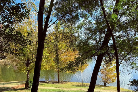 与当地司机一起在 6 小时内探索地拉那当地司机带你在 6 小时内探索地拉那