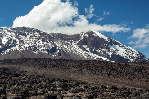 8 أيام من التنزه عبر طريق ليموشو على جبل كليمنجارورحلة لمدة 8 أيام عبر طريق ليموشو إلى جبل كليمنجارو