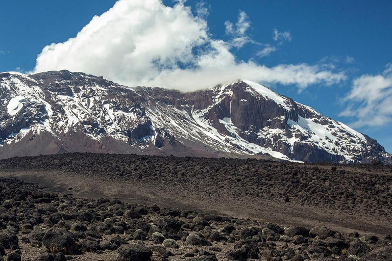 8 أيام من التنزه عبر طريق ليموشو على جبل كليمنجارورحلة لمدة 8 أيام عبر طريق ليموشو إلى جبل كليمنجارو