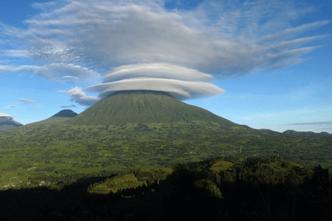 Ruanda : 3 Tage Tour - Kigali Stadt, Volcanoes National Park