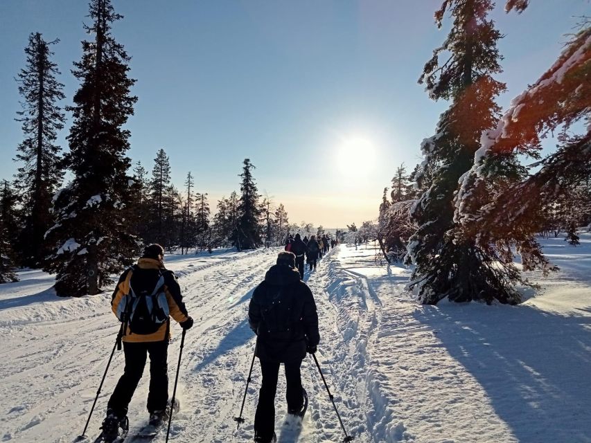 Experience Levi Lapland: Northern Lights Snowshoeing, Finland
