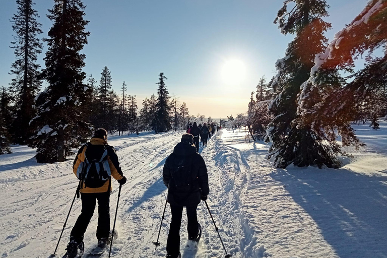 Levi Lapponia: Escursioni con le racchette da neve all&#039;aurora boreale