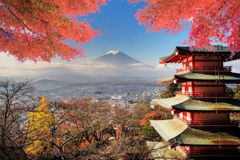 Tour privado de 5 días Tokio, Monte Fuji, Nikko, Hakone y Nagano