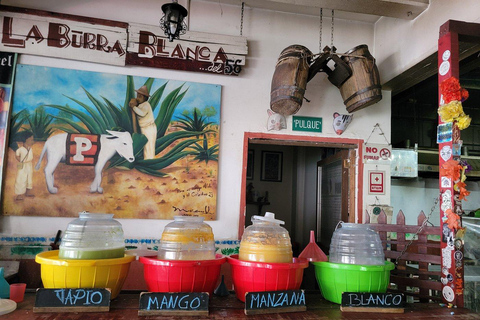 The Real Mexico City: Under the skin of CDMX