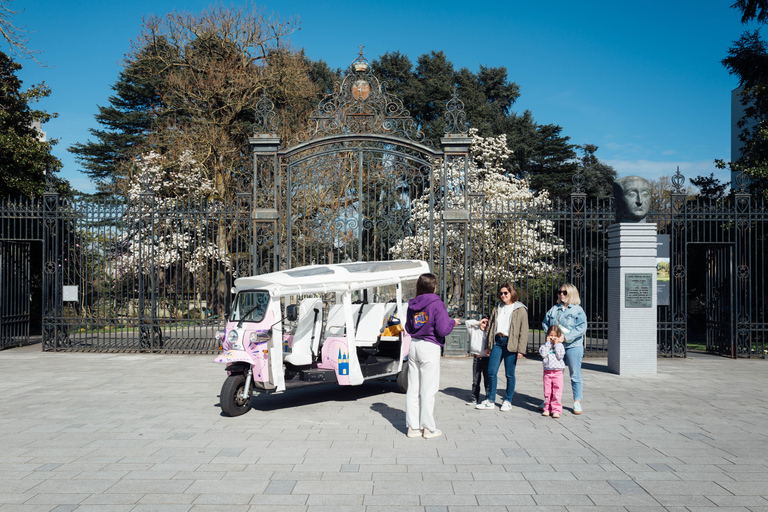 Angers: Utforska stadskärnan med elektrisk tuk-tuk