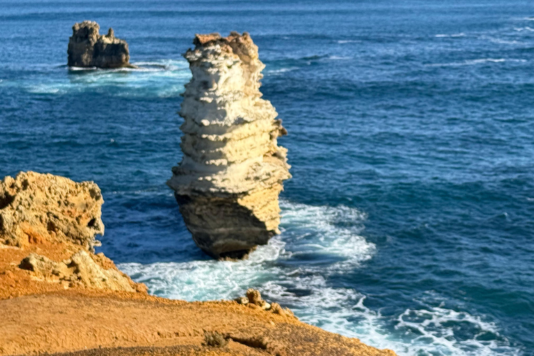 Desde Melbourne: Twelve Apostles, excursión gastronómica por carreteras secundarias.Desde Melbourne: Excursión gastronómica de un día por las carreteras secundarias y los Doce