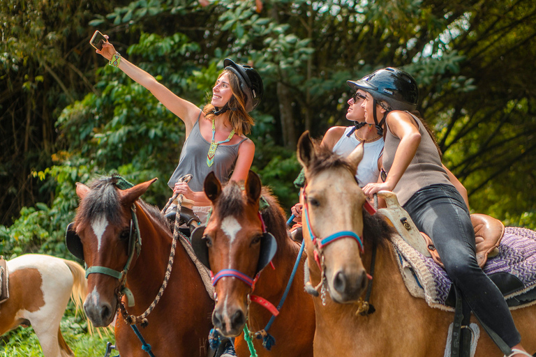 Carabalí Rainforest Park: Rainforest Horseback Riding Tour 2-Hour Horseback Ride