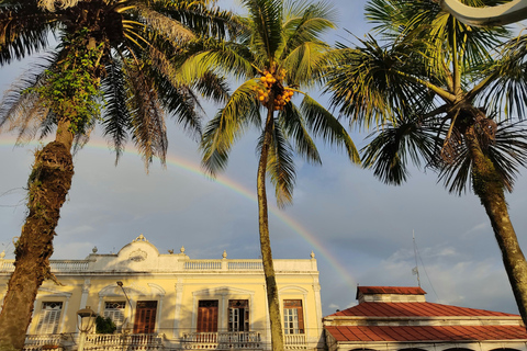 Iquitos: 4-Day Amazon Jungle Tour with Hotel Pickup