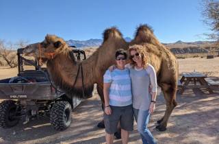 Las Vegas: UTV Abenteuer Tour mit Kamel Safari Zoo