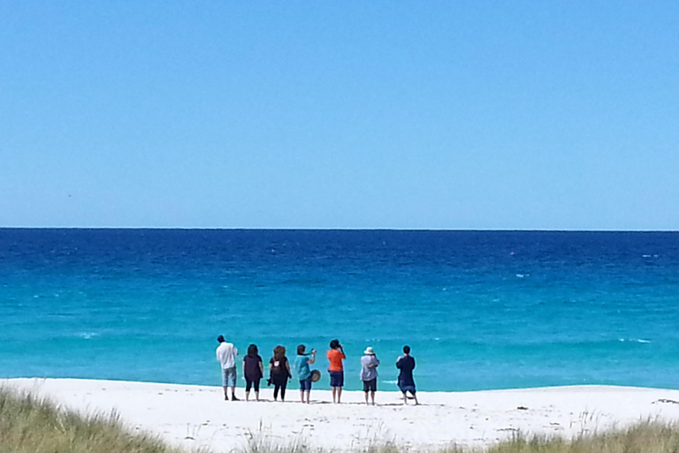 Launceston: Bay of Fires Tour with Bridestowe Lavender Farm