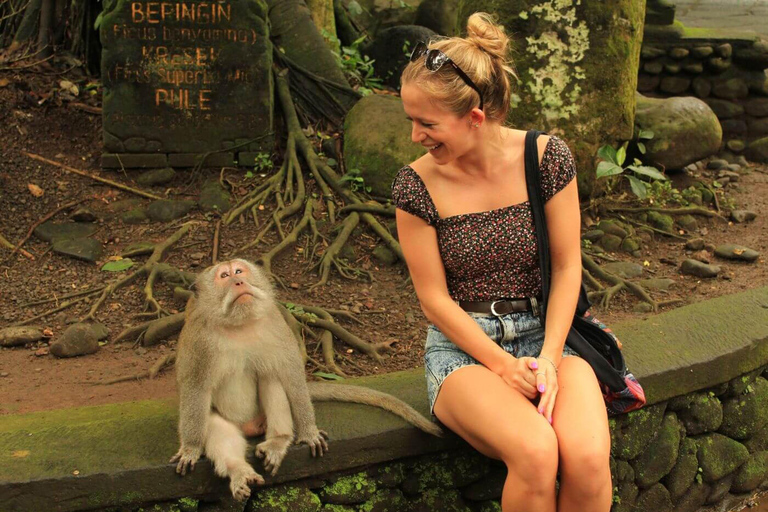 Ubud: Monkey Forest, Rice Terrace, Waterfall Private Tour Private Tour Without Entry Tickets