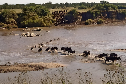 Arusha : 5-tägiges Safari-Abenteuer mit Kilimandscharo-Besteigung