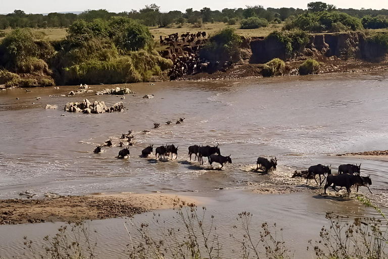 Arusha : 5-Day Safari Adventure with Kilimanjaro Climb