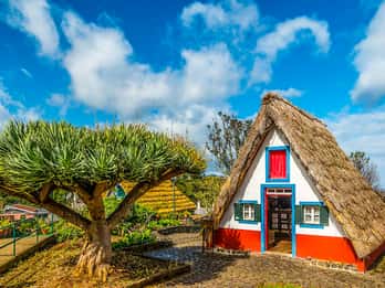 Madeira: Best of the East Tour from Funchal