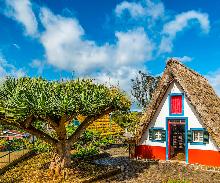 Madeira: Best of the East Tour from Funchal
